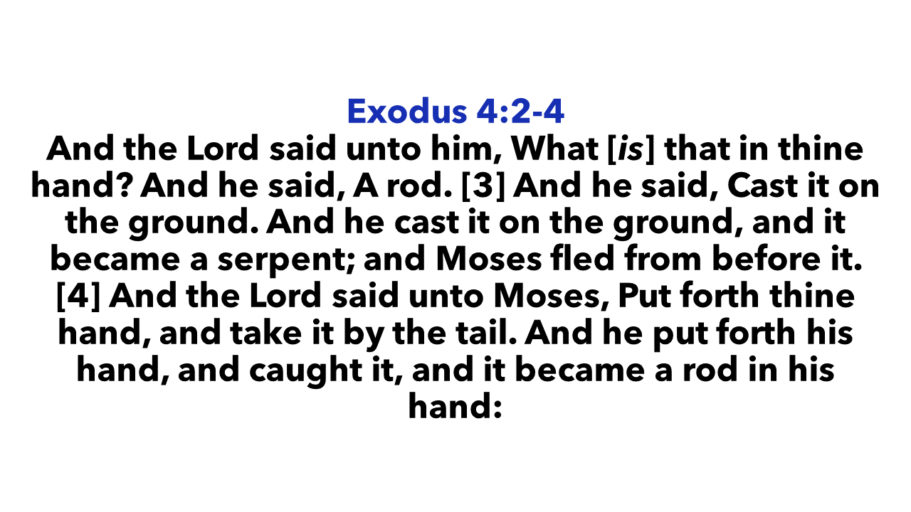 Exodus 4:2-4