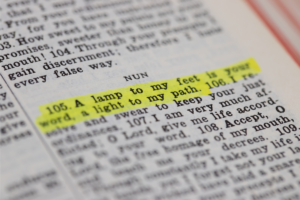 Psalm 119: The Longest Chapter in the Bible and Why It Matters - IN THY
