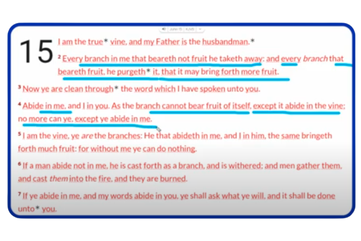 An excerpt from the book of John in the Bible.