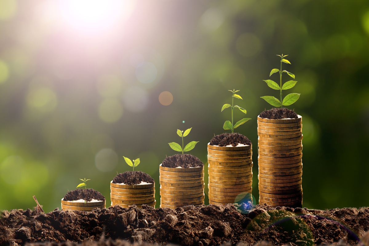An image of wealth being grown represented by gold coins and seedlings.