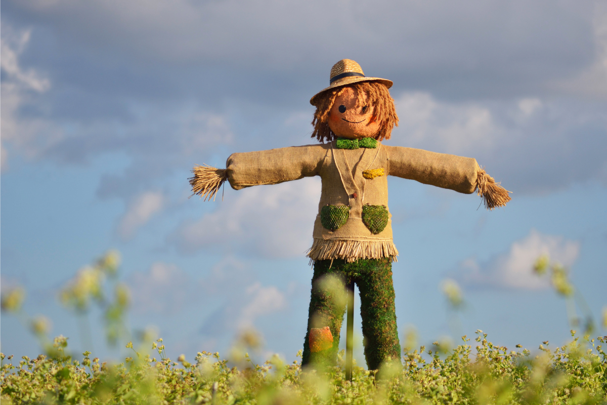 An image of a strawman in an open field.