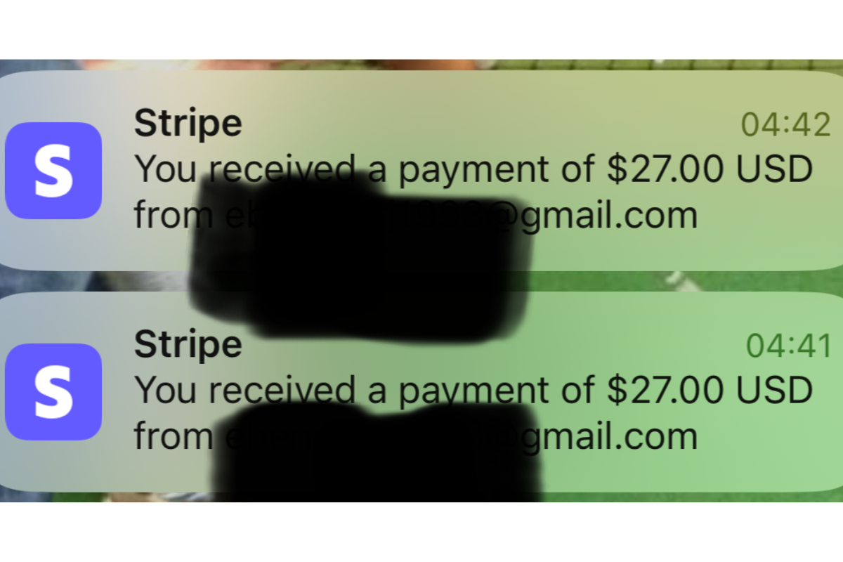 An image of additional Stripe payment transactions.