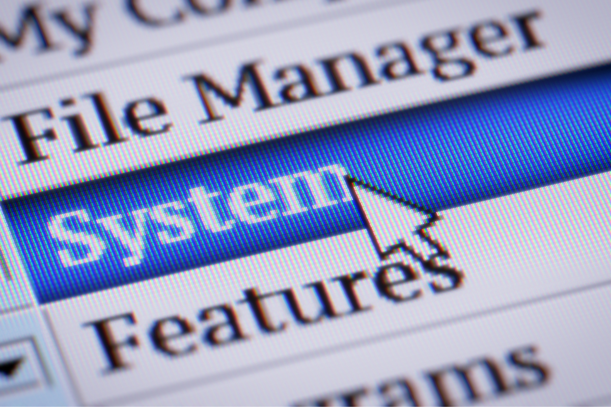Drop-down button options in a computer with the word SYSTEM highlighted.