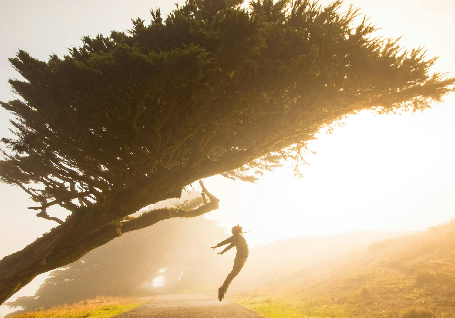 A person leaping in mid-air, symbolizing the law of gravity.