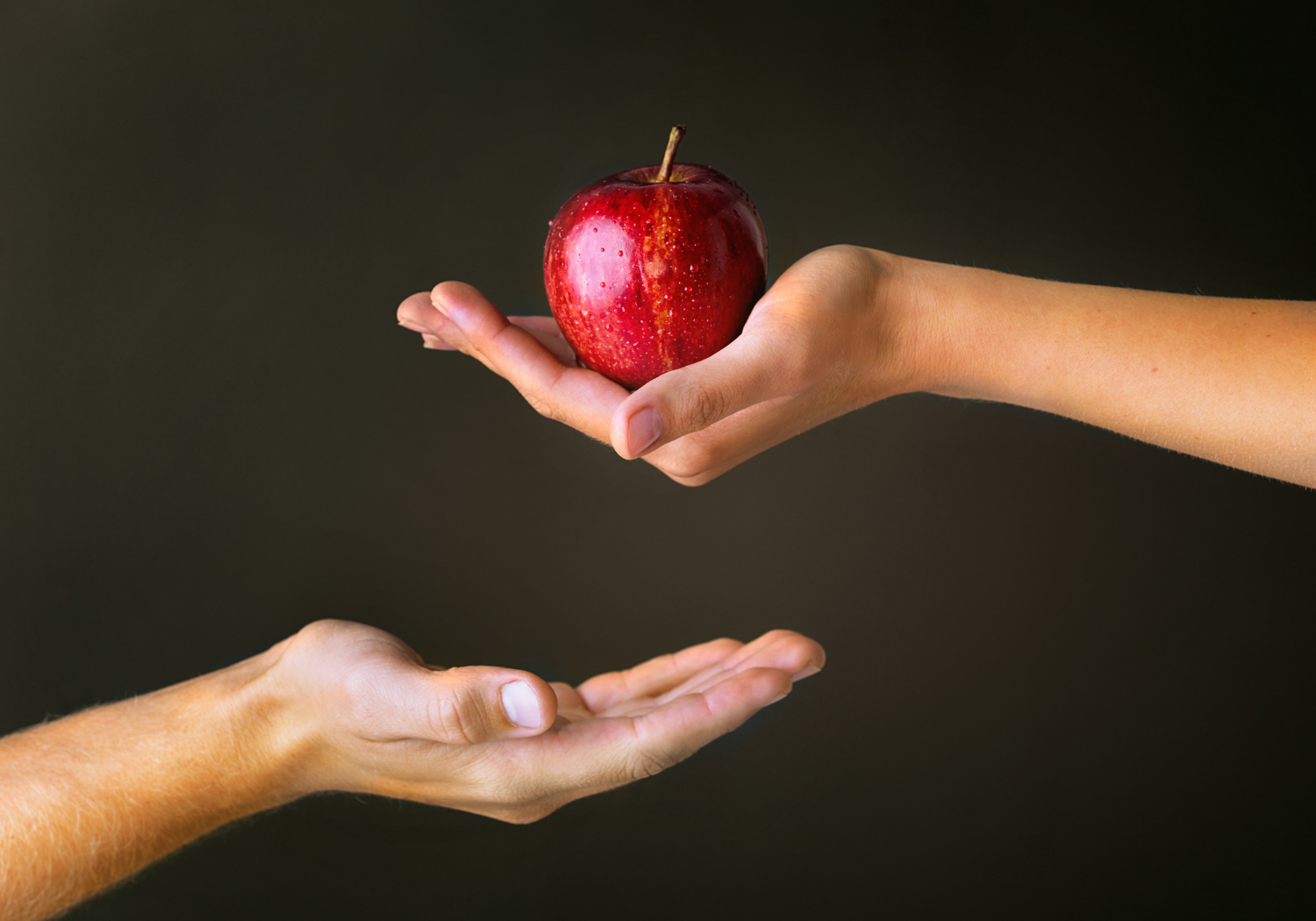 A person handing out an apple to another person, symbolizing the Biblical original sin.