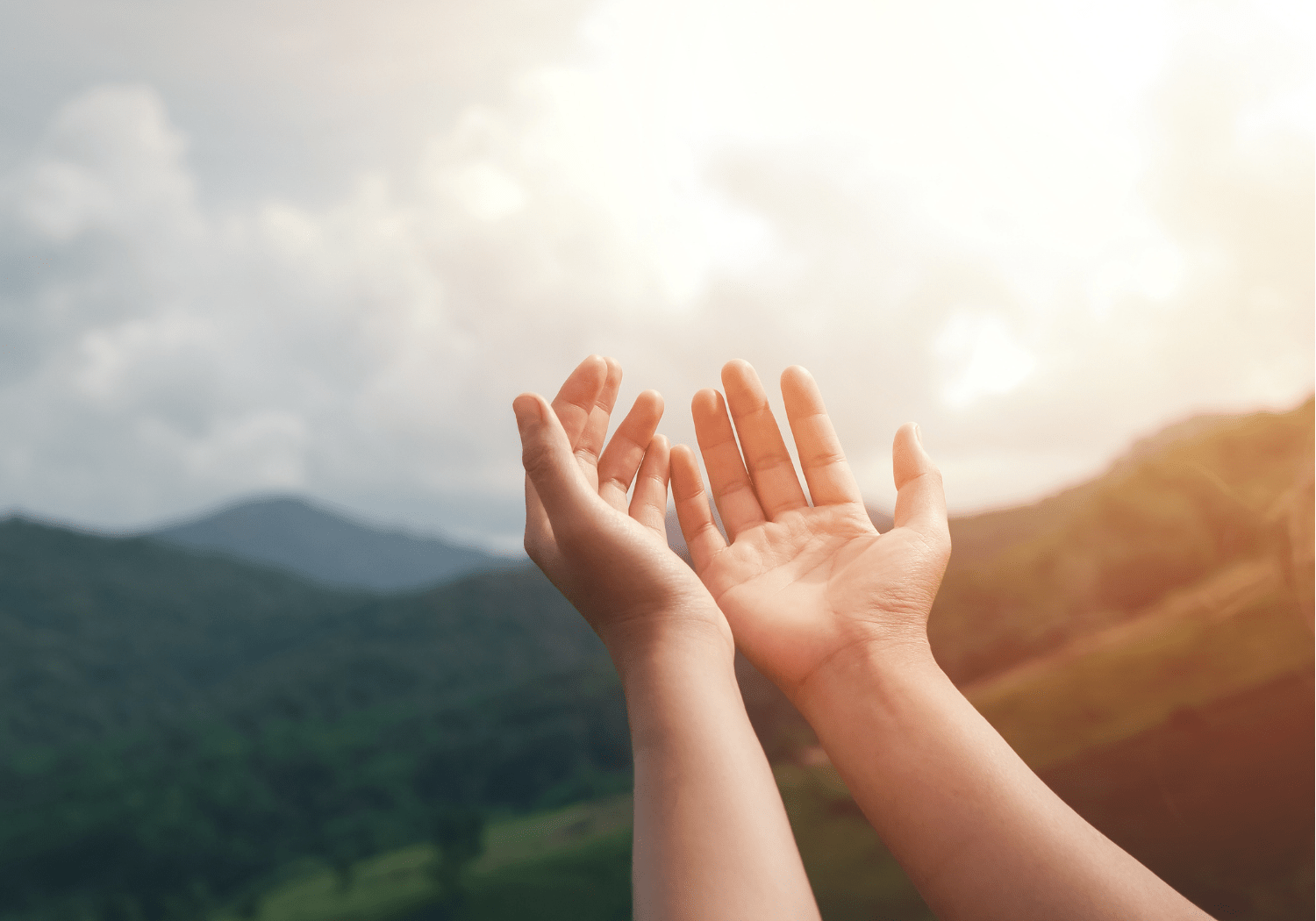 Hands raised up to the sky.