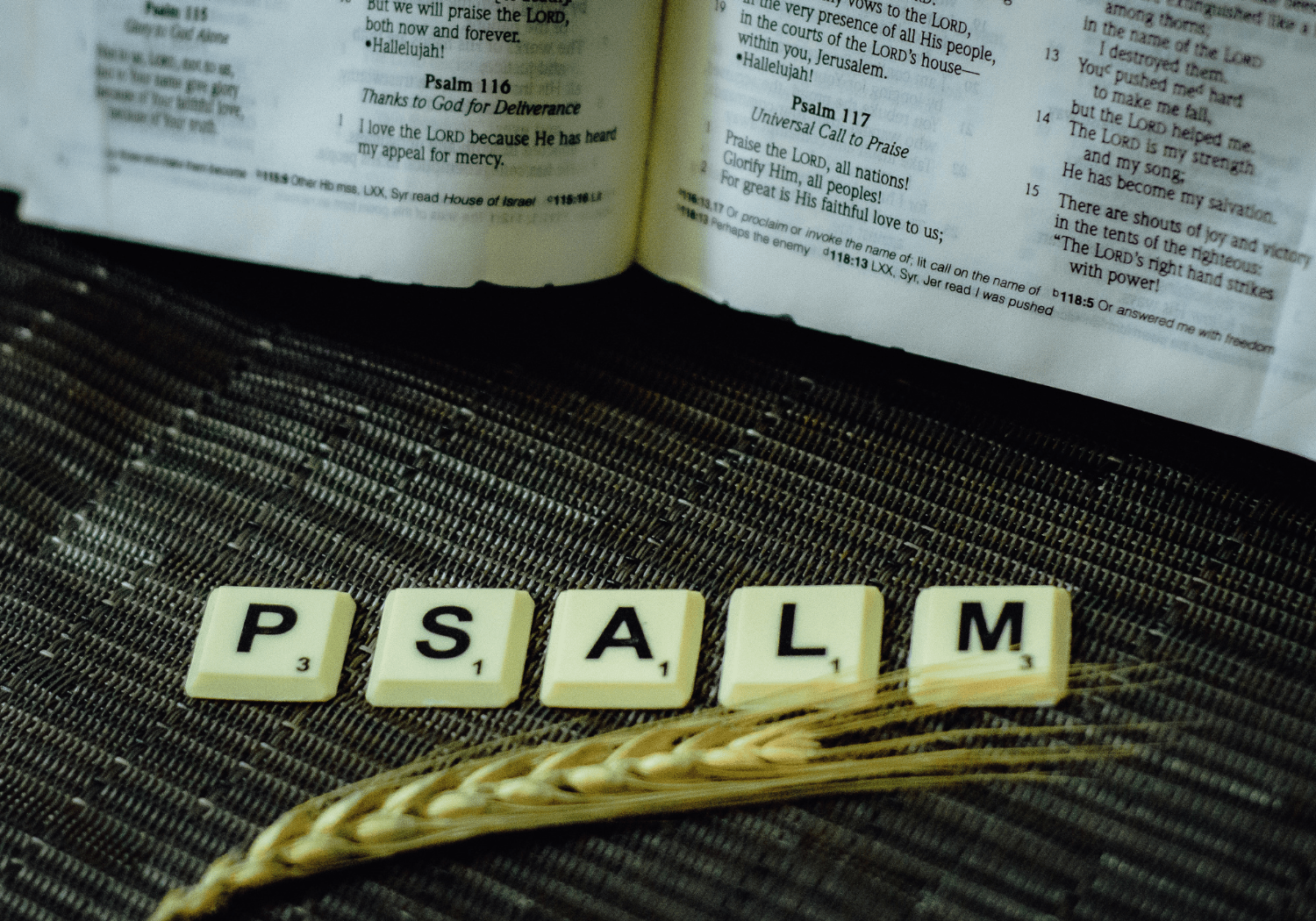 The word "PSALM" spelled out with Scrabble tiles on a table, with a Bible in the background.