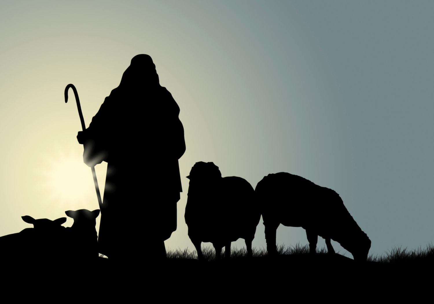 A silhouette of a shepherd and his flock of sheep.