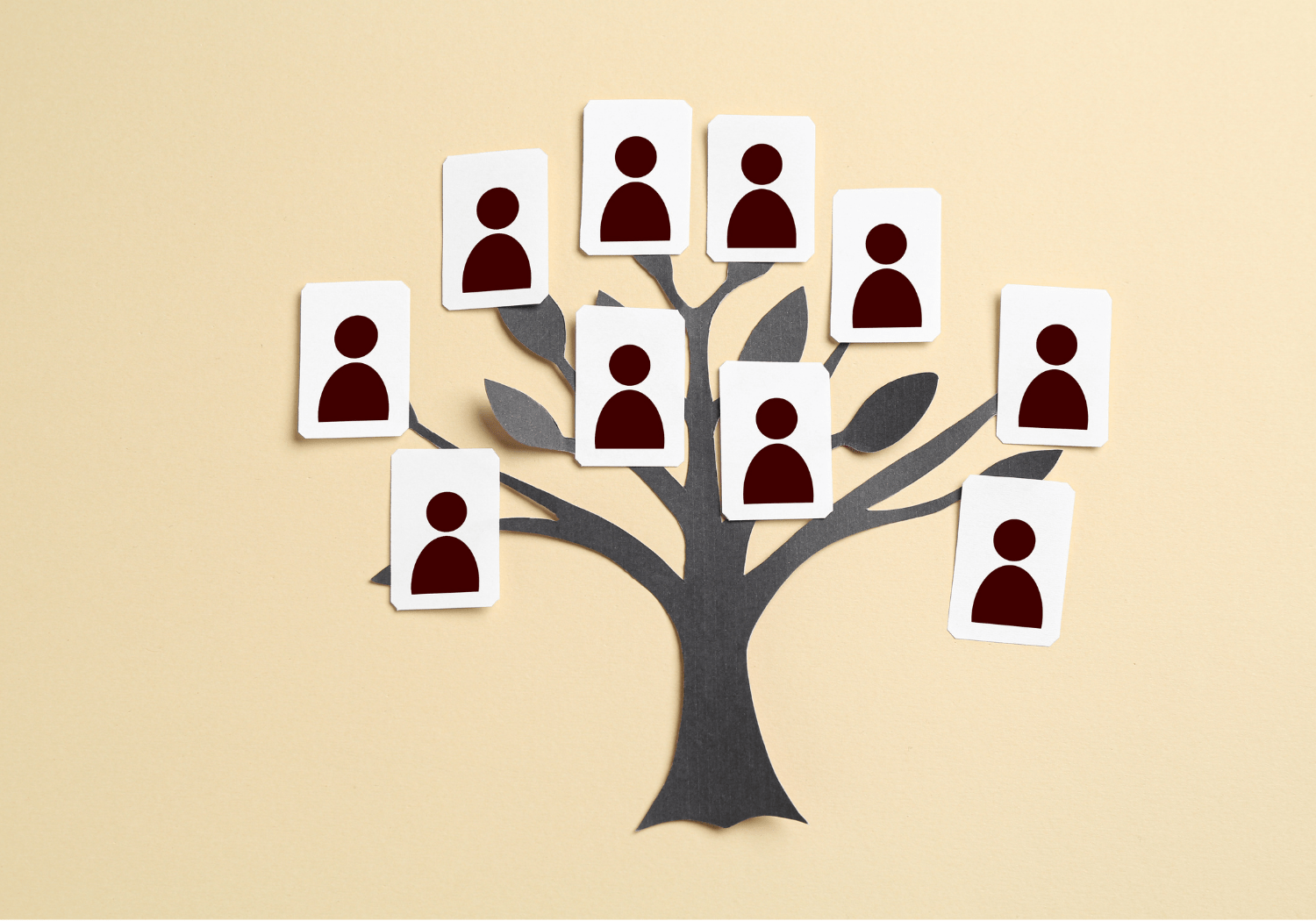 A genealogy tree illustration.