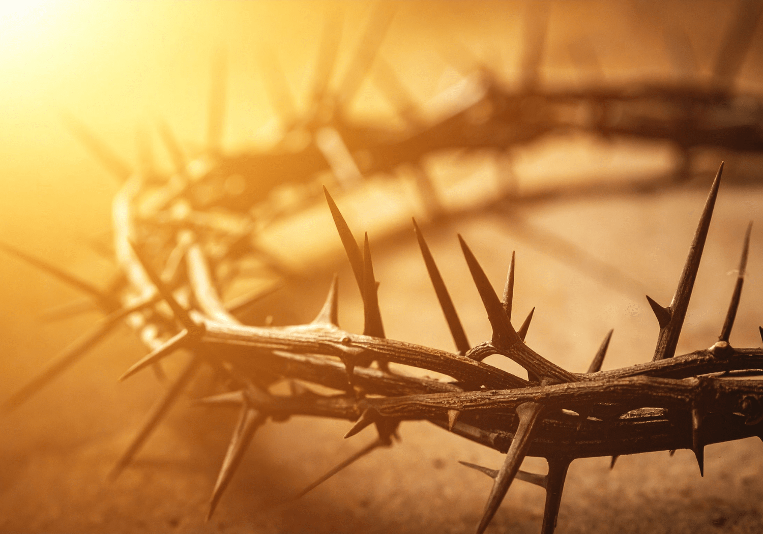 A crown of thorns.