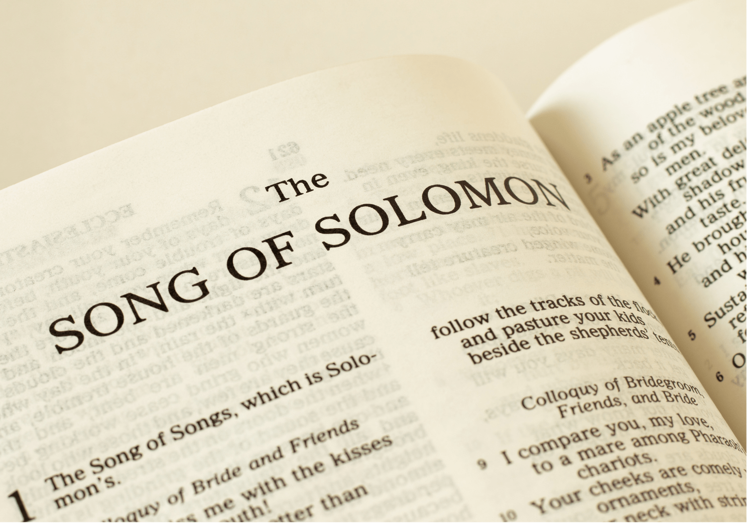 The book of the Songs of Solomon.